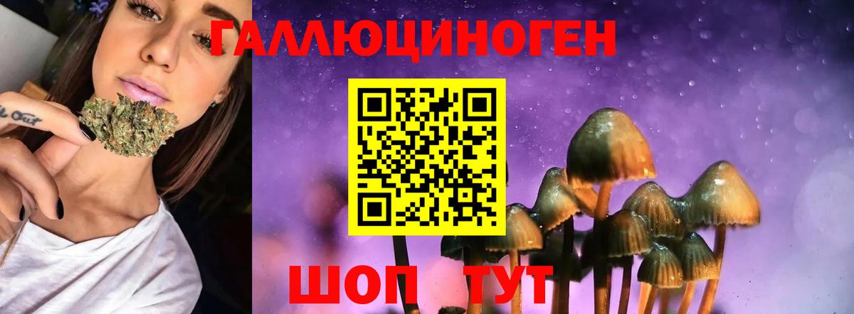 Галлюциногенные грибы мухоморы Кимры